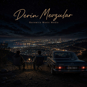 Herşeyi Aldın