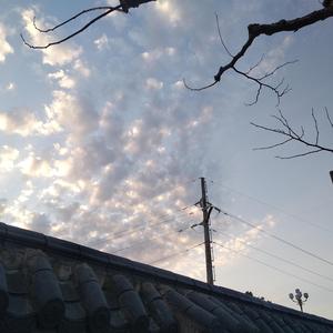 菲菲（cover:沈以诚）