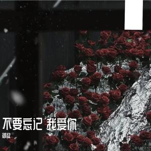 不要忘记我爱你（翻自张碧晨）
