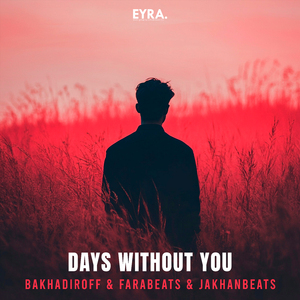 Days Without You