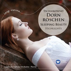 The Sleeping Beauty, Op. 66, Act III "The Wedding":No. 26, Pas de caractère