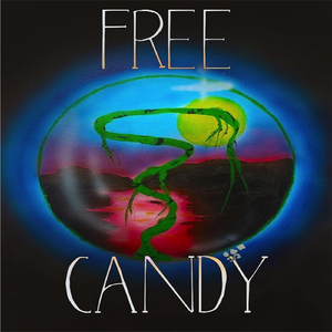 Pack of Wild Animals