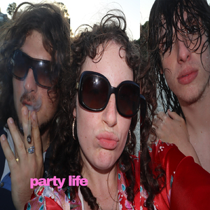 Party Life (feat. DoloRRes)