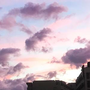 堕（feature.LIL16）