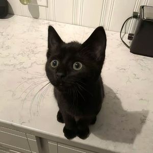 funky freaky【prod.Gr33nart Beats】