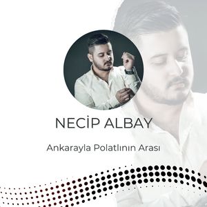 Ankarayla Polatlının Arası