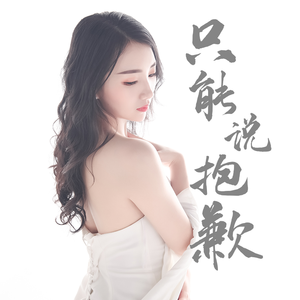 只能说抱歉 伴奏