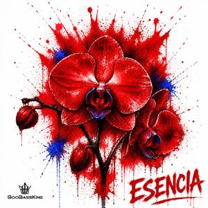 Esencia