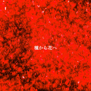 Smoky Studying Sounds