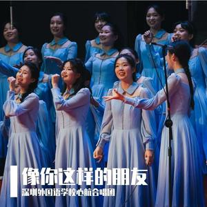 像你这样的朋友