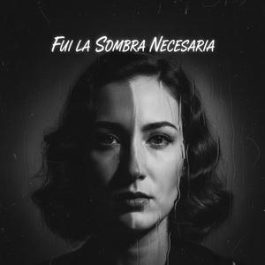 Fui la Sombra Necesaria