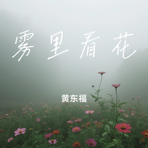 雾里看花
