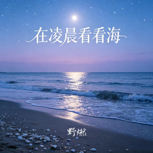 在凌晨看看海
