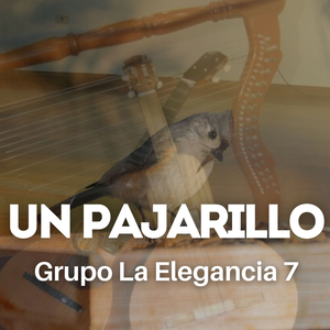 Un Pajarillo