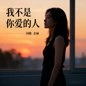 我不是你爱的人