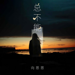 总不能 (DJ九零版)