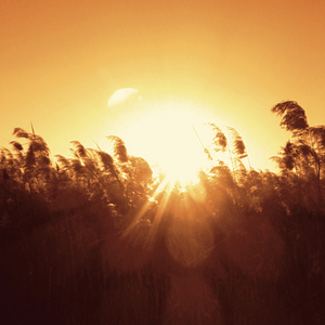 기억하지도, 그리워하지도 (feat. L.Do, Boyblue)