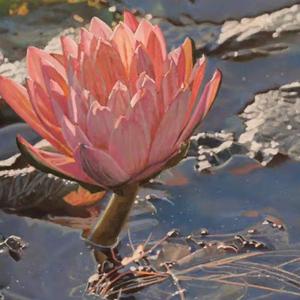 youandme（翻自 元子弹吉他）