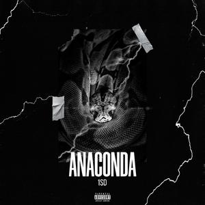 Anaconda