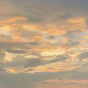 鲸落（翻自 赵俊铭）