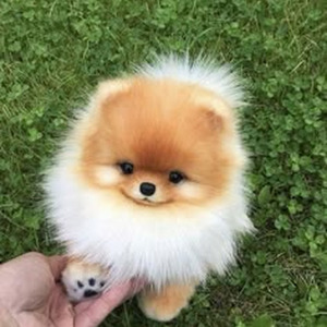 Logical (Sped Up + Reverb)