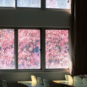 山顶的小怪兽和小精灵的约会