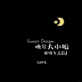 晚安大小姐 (丝滑卡点DJ版)
