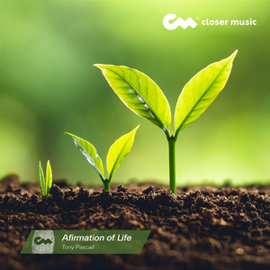 Afirmation of Life (Instrumental)