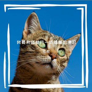 我要和猫举行一场嗜睡的演习
