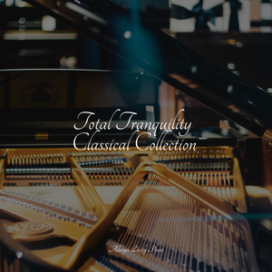 Transcendental Themes