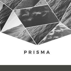 Prisma