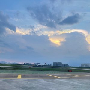 你惨啦坠入爱清唱_一颗西梅子