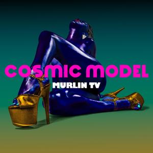 Cosmic Model