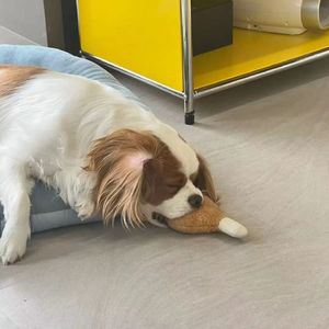 你会陪我度过吗