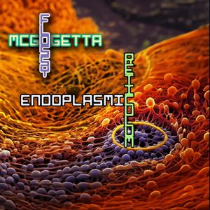 Endoplasmic Reticulum