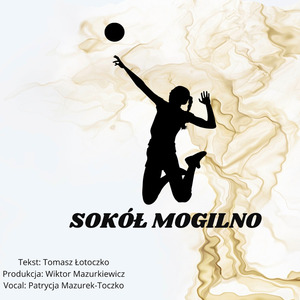 Sokół