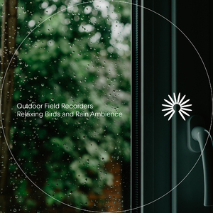 Birds in Rain Drizzle