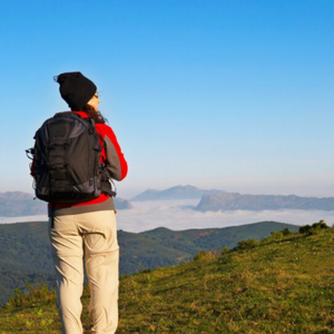 酒醉的蝴蝶（原唱：崔伟立）