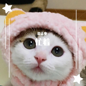 忙着（翻自 羊羊）