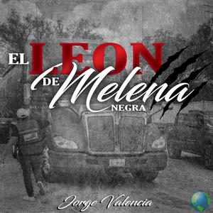 El Leon de Melena Negra