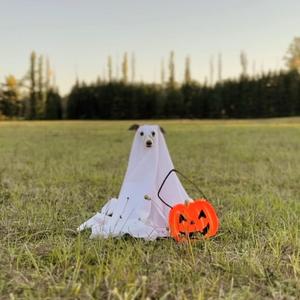 I Need To Please You (feat. Cry Cry Horses)