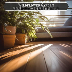 Warm Maple and Melodies (Key B Ver.)