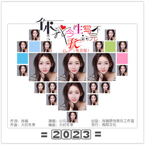 你是我今生写不完的歌 (电音版)