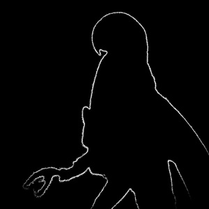 Dancing with the Streetlights