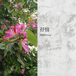 谢谢你一直爱着我