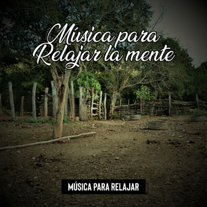 Significado del Amor