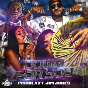 Down for You (feat. Jim Jones)