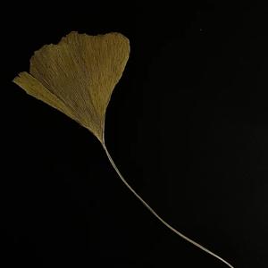 徐陈義-只有我看得到（徐陈義 remix）