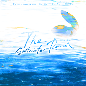 The Saltwater Room
