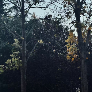 Everybody dies in their nightmare 2.mp3